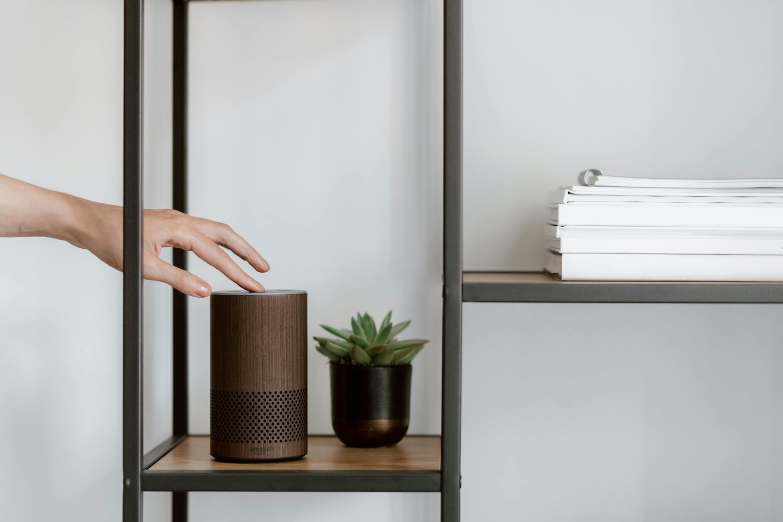 little plant next to a speaker