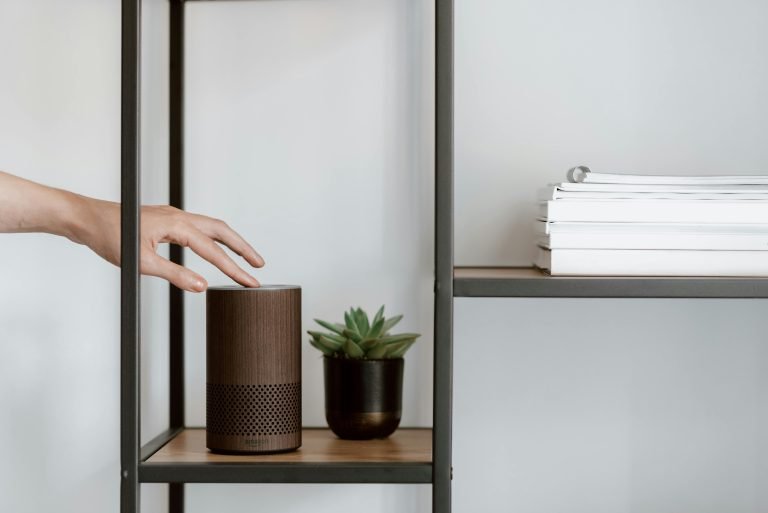 little plant next to a speaker